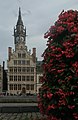 Gent, Cooremetershuys mit Blumenkasten im Vordergrund und Turm im Hintergrund