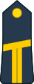 Lieutenant (Ivory Coast Ground Forces)[43]