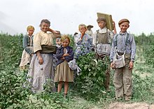 Several Polish immigrant workers, some of which are children, are seen standing in their fields after picking berries.