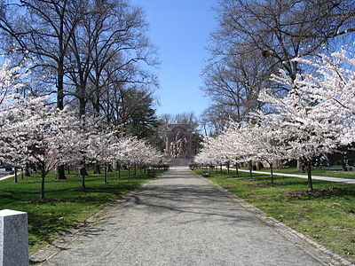 The mall leading to the monument, which aligns with Nassau Street. The cherry trees are a modern addition and first bloomed in 2002.[14]