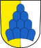 Coat of arms of Salenstein