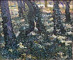 Undergrowth with Ivy July, 1889 Van Gogh Museum, Amsterdam (F746)