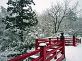 Yahiko Park in winter