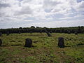 Image 15Boscawen-Un stone circle looking north (from Culture of Cornwall)