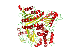 Conformation of the CopII protein complexed with the snare protein Bet1 (PDB: 1PCX​).[8]