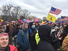 A dense crowd of protestors. Multiple American flags, Trump flags, and a single 'Don't Tread on Me' flag are visible.