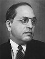 B. R. Ambedkar, Chairman of the Constitution Drafting Committee