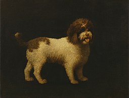 Water Spaniel (1769), oil on canvas, 90.2 x 116.8 cm., Yale Center for British Art