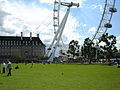 London Eye and LCC building from the middle of Jubilee Gardens, in its former state as grassland.