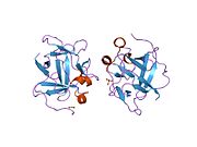 1p63: Human Acidic Fibroblast Growth Factor. 140 Amino Acid Form with Amino Terminal His Tag and Leu111 Replaced with Ile (L111I)