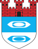 Coat of arms of Bielawa
