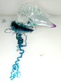 The Portuguese Man o' War is a floating hydrozoan with retractile tentacles which may be several metres long, and which produce extremely painful stings.