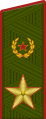 Генера́л а́рмии General armii (Russian Ground Forces)