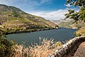 The Upper Douro valley where Port wine grapes grow