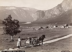 Farm - c. 1885