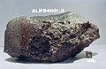 Meteorite fragment ALH 84001