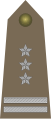 Pułkownik[15] (Polish Land Forces)