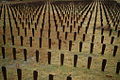 A symbolic representation of the more than 25,000 patients buried in unmarked graves throughout the hospital grounds