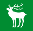 Flag of Hjartdal Municipality