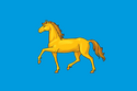 Flag of Minusinsk