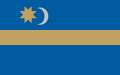 Flag of the Székelys, depicting a napcsillag ('sun–star')