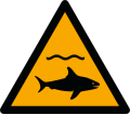W054: Warnung vor Haien
