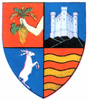 Coat of arms of Județul Sălaj