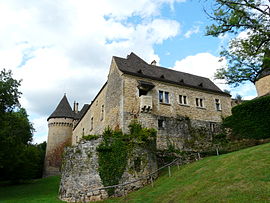 Chateau of Coulonges