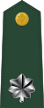 Lieutenant colonel