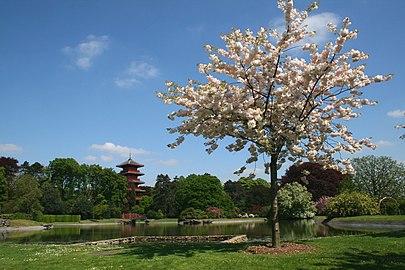 The gardens of the Royal Domain and the Japanese Tower