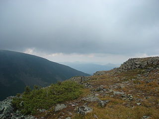 View from Mont Jacques-Cartier