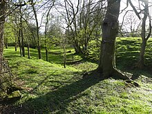 Earthworks and moat remains