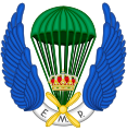 Emblem of the Paratrooper Military School "Méndez Parada" (EMP-MP)