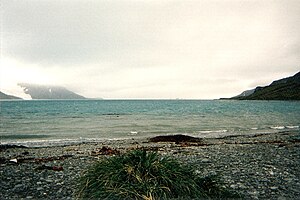 Die King Haakon Bay im Dezember 1996