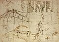 Image 15One of Leonardo's sketches (from History of aviation)