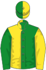 Green and yellow (halved), sleeves and cap reversed