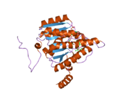 2ilt: Human 11-beta-Hydroxysteroid Dehydrogenase (HSD1) with NADP and Adamantane Sulfone Inhibitor