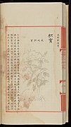 Chapters 10,110 to 10,112 of the 'Great encyclopaedia of the Yongle Reign'