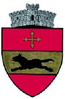Coat of arms of Stulpicani