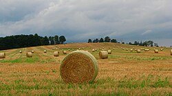 Straw bales near Alliston