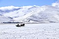 Equestrian sled in lake Çıldır