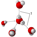 Image 19Model of hydrogen bonds (1) between molecules of water (from Properties of water)