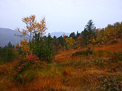 Hills near Vinjeøra