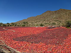 Red peppers in Cachi, Argentina are air-dried before being processed into powder.