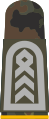 a Aufschiebeschlaufen mit hellgrauen Em­ble­men auf stein­grau-olivem Grund­gewebe für Heeres­uniformträger (hier: Oberstabsfeldwebel Heeresaufklärungs­truppe)