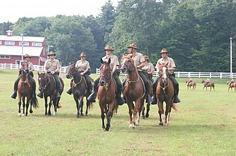 Men and women in tan shirts, green breeches, and green campaign covers ride seven brown horses forward in an arrowhead formation with one horse in the center rear.