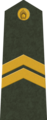  Latvia Kaprālis, OR-4, Army