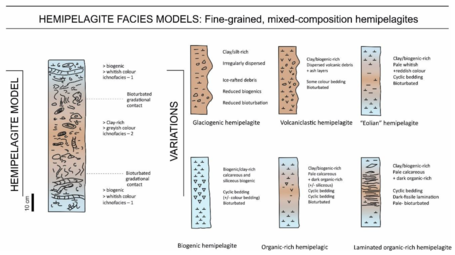Hemipelagite facies models Standard model showing simple cyclicity between clay-rich and biogenic-rich parts. Variations depend on component inputs.[28]