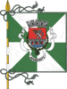Flag of Amarante