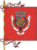 Flag of Elvas